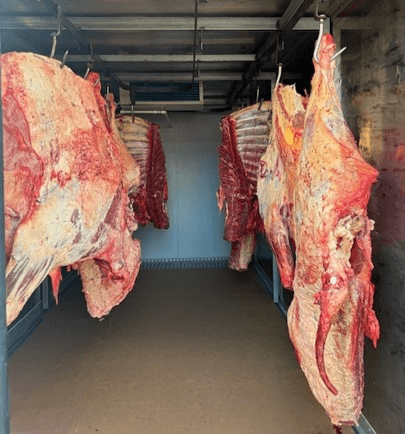 Homekill services Homekill services